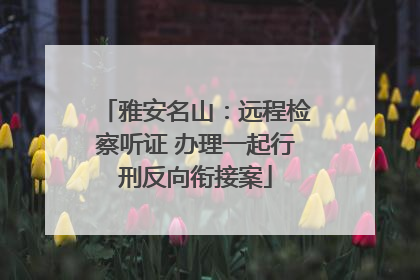 雅安名山：远程检察听证 办理一起行刑反向衔接案